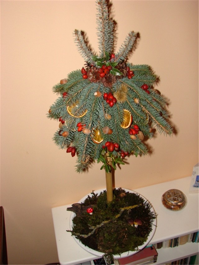 bor 2011
